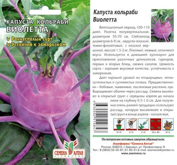 картинка Капуста кольраби Виолетта (цветной пакет) 0,3г; Семена Алтая от магазина Флоранж