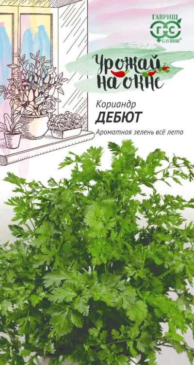 Кориандр Дебют, Урожай на окне (цветной пакет) 2г; Гавриш