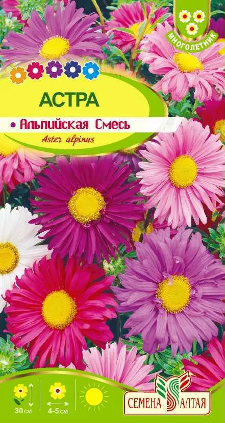 Астра Альпийская смесь (цветной пакет) 0,05г; Семена Алтая