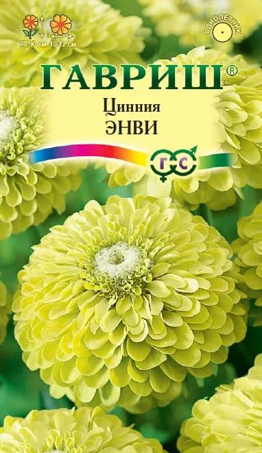 Цинния Энви изящная (цветной пакет) 0,5г; Гавриш