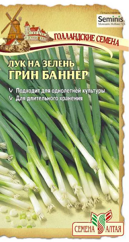 Лук на зелень Грин Баннер (цветной пакет) 0,2г; Семена Алтая