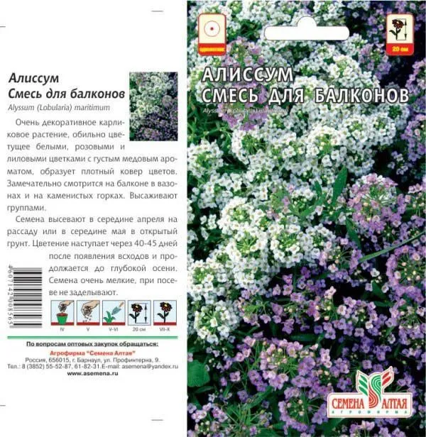 Алиссум Смесь для балконов (цветной пакет) 0,2г; Семена Алтая