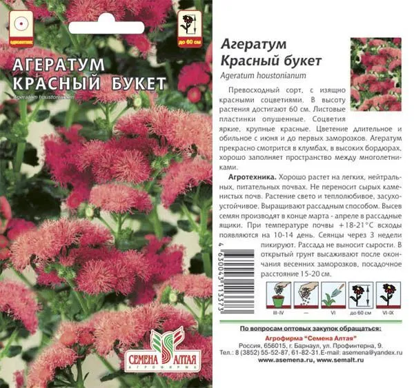 Агератум Красный букет (цветной пакет) 0,1г; Семена Алтая
