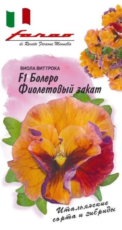 Виола витрокка Болеро Фиолетовый закат F1, (цветной пакет) 10шт; Гавриш