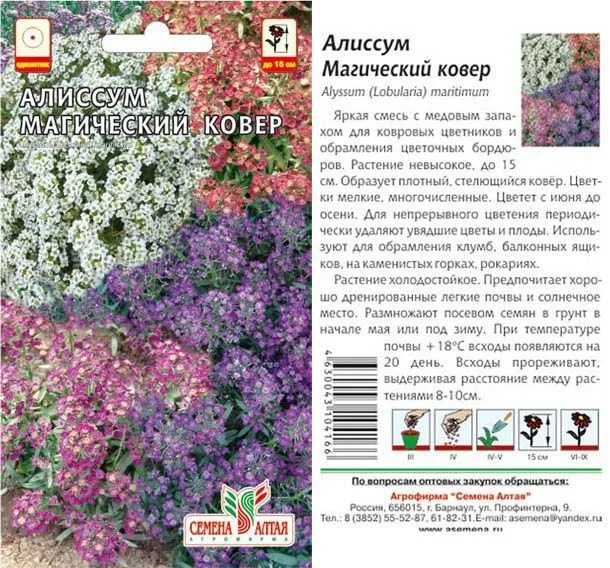 Алиссум Магический Ковер (цветной пакет) 0,1г; Семена Алтая