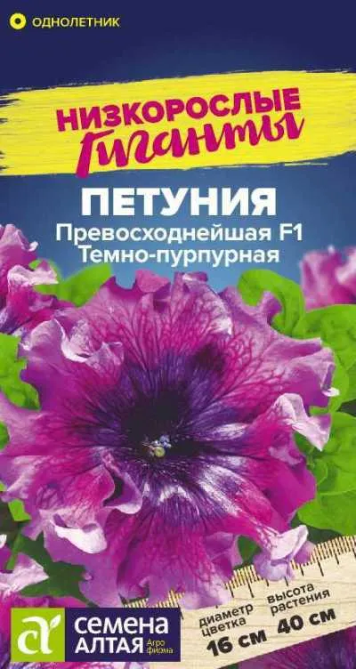 Петуния Превосходнейшая Темно-пурпурная Низкорослые гиганты (цветной пакет) 7шт; Семена Алтая