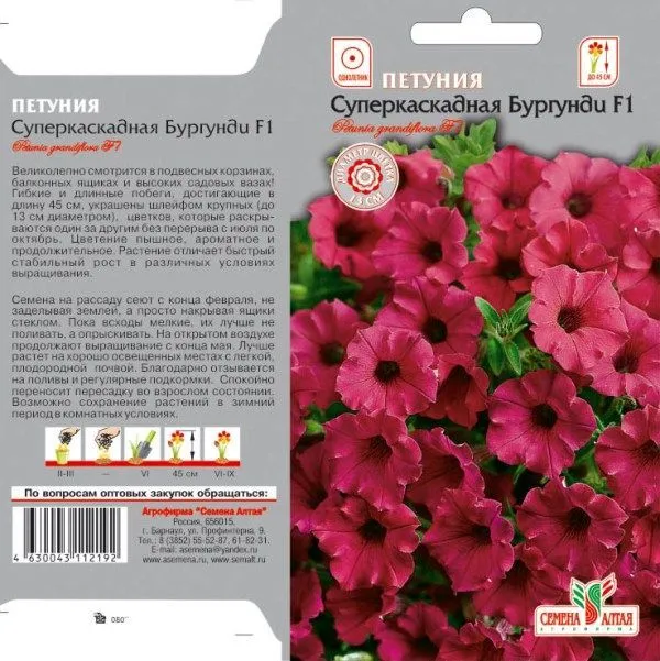 Петуния Суперкаскадная Бургунди F1 (цветной пакет) 7шт; Семена Алтая