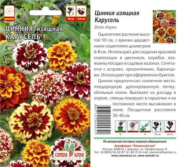 Цинния Карусель Изящная (цветной пакет) 0,2г; Семена Алтая