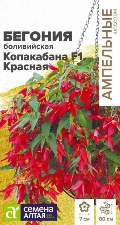 Бегония Копакабана Красная боливийская (цветной пакет) 5шт; Семена Алтая