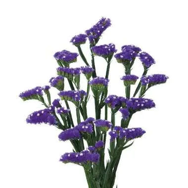 статица Кристалл Дарк Блу Экстра