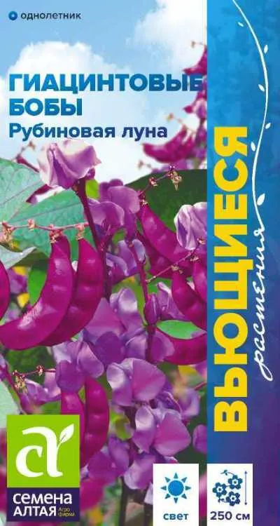 Бобы декоративные Гиацинтовые Рубиновая Луна (цветной пакет) 1гр; Семена Алтая
