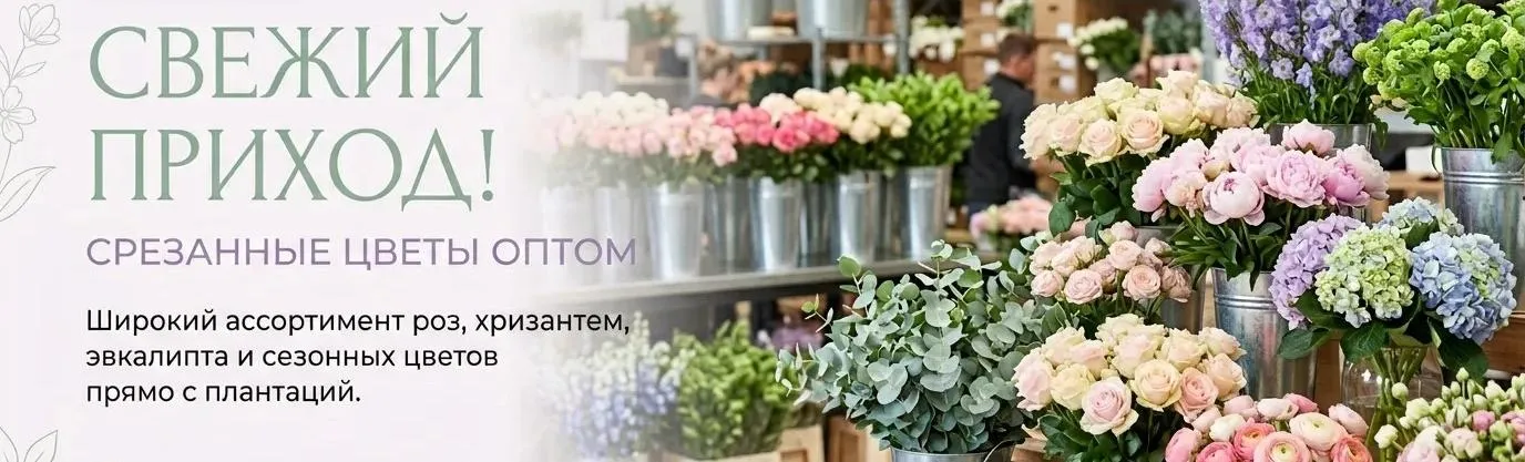 свежий приход