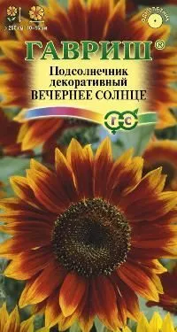 картинка Подсолнечник Вечернее солнце (цветной пакет) 0,5г; Гавриш от магазина Флоранж