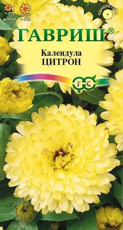 Календула Цитрон (цветной пакет) 0,3г; Гавриш