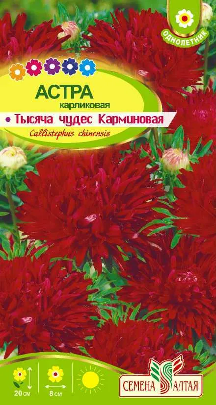 Астра Тысяча чудес карминная карликовая (цветной пакет) 0,15г; Семена Алтая