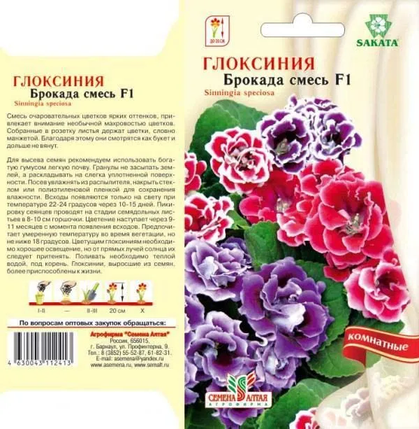 Глоксиния Брокада Смесь F1 (цветной пакет) 8шт; Семена Алтая