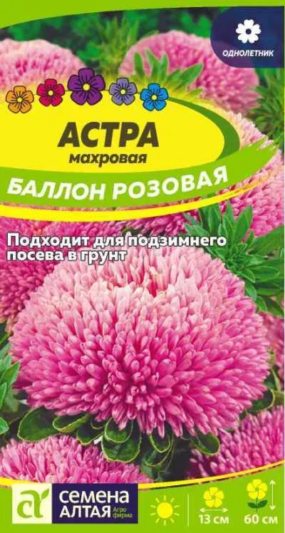 Астра Баллон (цветной пакет) 0,05г; Семена Алтая