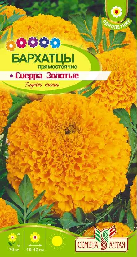 Бархатцы Сиерра Золотые (цветной пакет) 0,3г; Семена Алтая