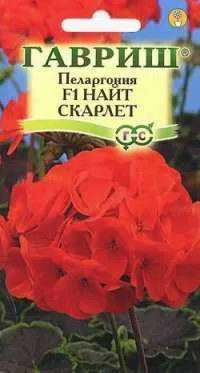 Пеларгония зональная Найт Скарлет F1 (цветной пакет) 4шт; Гавриш