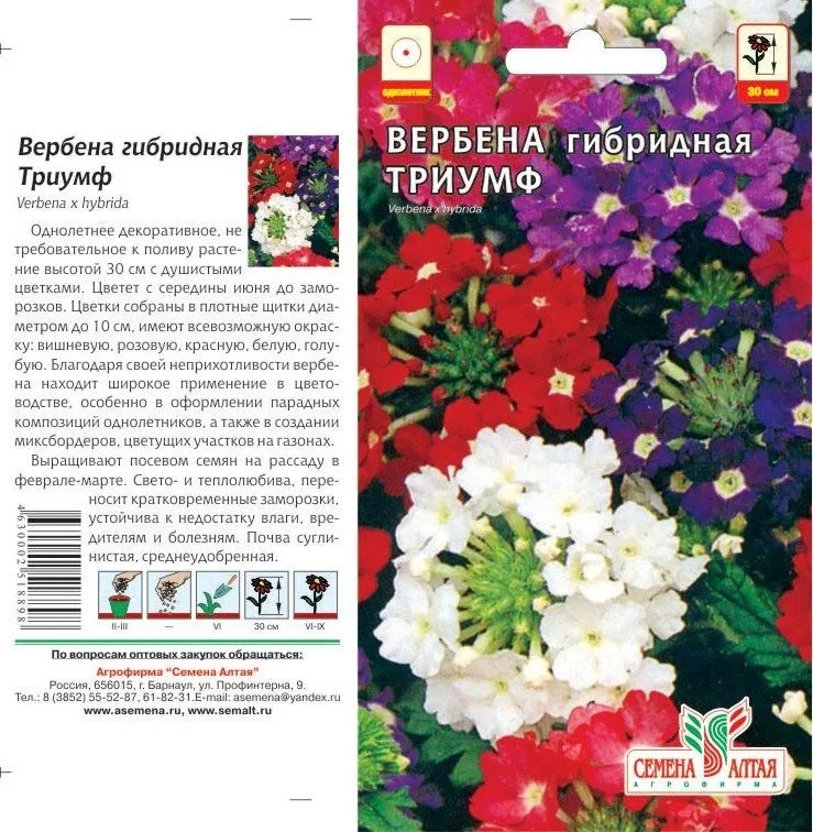 Вербена Триумф (цветной пакет) 0,1г; Семена Алтая