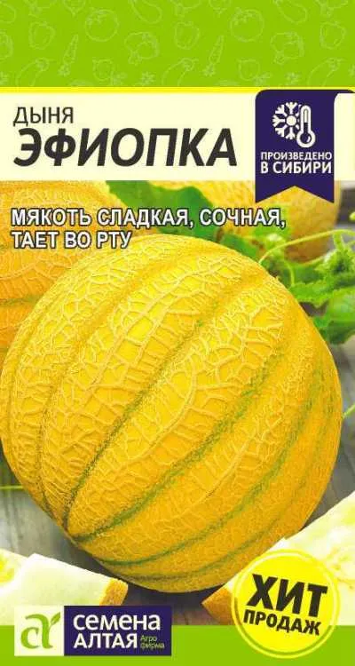 картинка Дыня  Эфиопка (цветной пакет) 1 гр.; Семена Алтая от магазина Флоранж