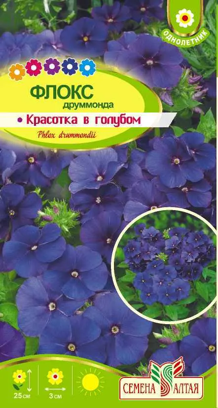 Флокс Красотка в голубом (цветной пакет) 0,05г; Семена Алтая