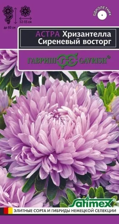 Астра Хризантелла Сиреневый восторг (цветной пакет) 0,05г; Гавриш
