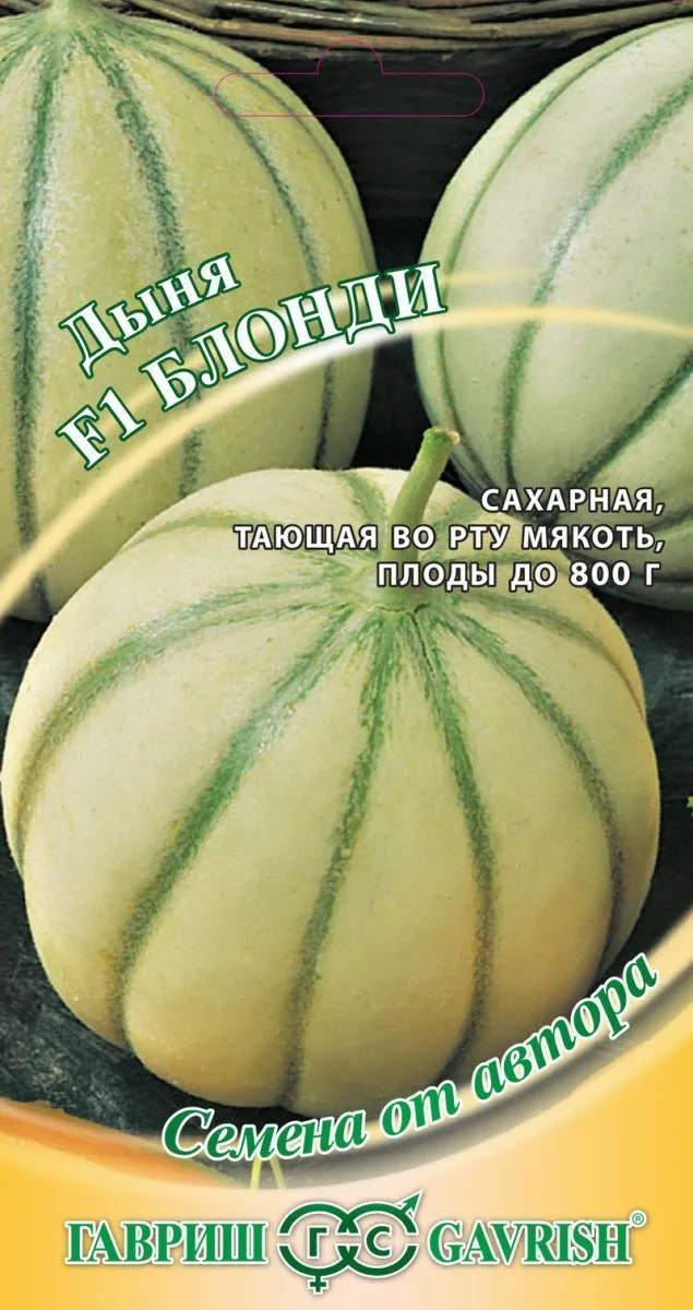 Дыня Блонди F1 (цветной пакет) 15шт; Гавриш