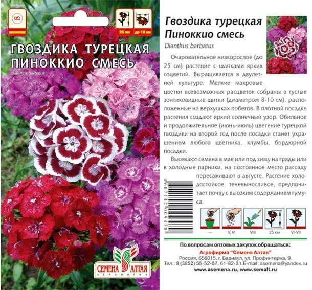 Гвоздика турецкая Пиноккио (цветной пакет) 0,2г; Семена Алтая