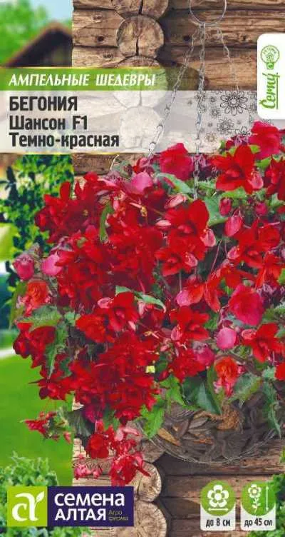 Бегония ампельная Шансон (цветной пакет) 5шт; Семена Алтая