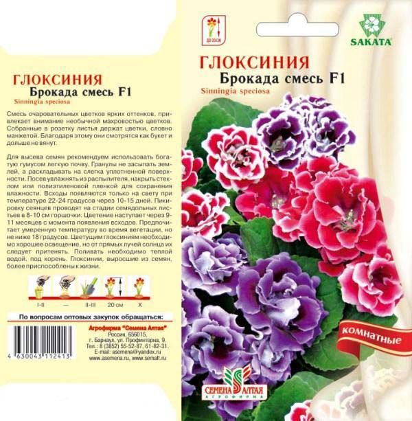 Глоксиния Брокада Смесь F1 (цветной пакет) 8шт; Семена Алтая