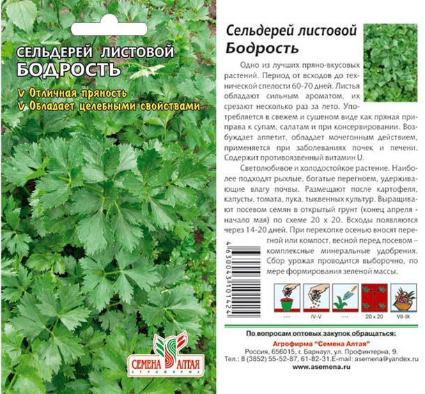 Сельдерей листовой Бодрость (цветной пакет) 0,5г; Семена Алтая
