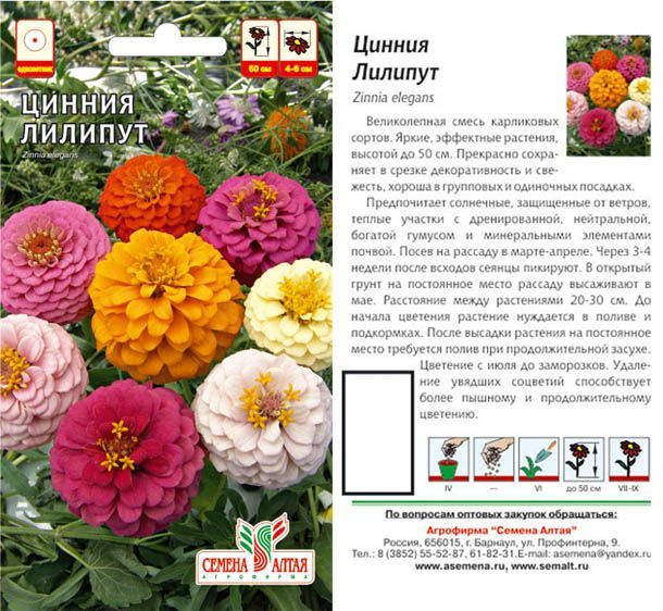 Цинния Лилипут (цветной пакет) 0,2г; Семена Алтая