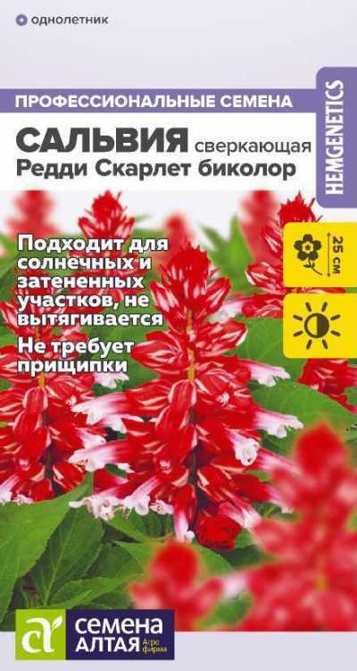 Сальвия Редди Скарлет биколор сверкающая (цветной пакет) 5шт; Семена Алтая