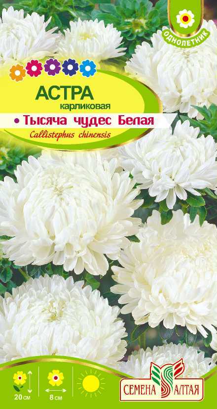 Астра Тысяча чудес белая карликовая(цветной пакет) 0,15г; Семена Алтая