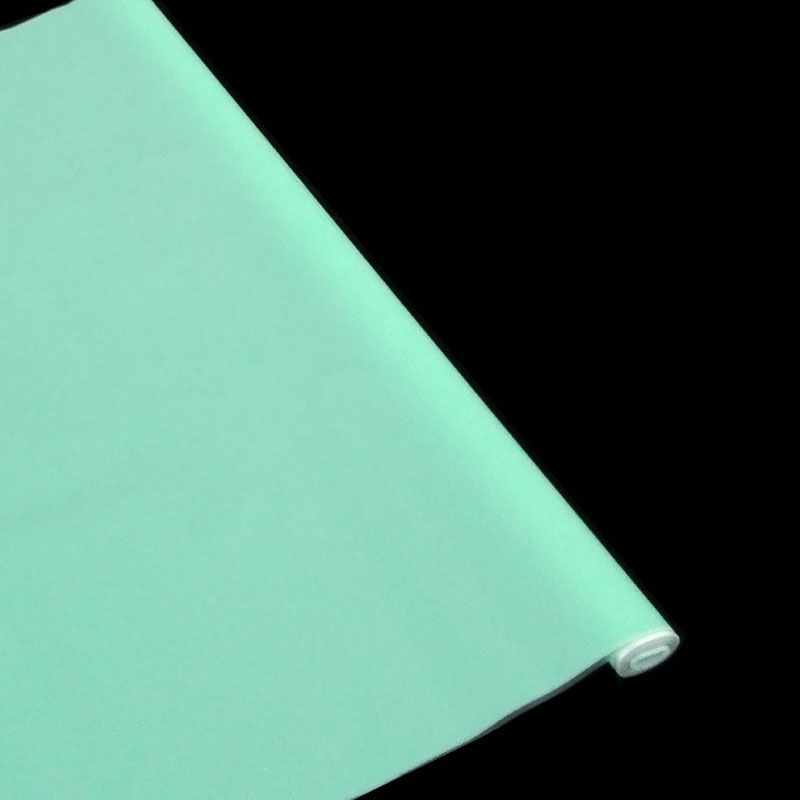 Рулон пленка тонированная ECOLOGY, 60/70см, мятный; Россия