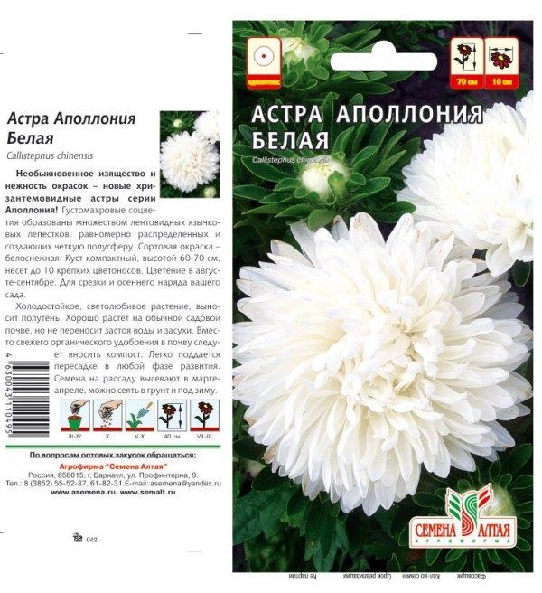 картинка Астра Аполлония (цветной пакет) 0,2г; белая, Семена Алтая от магазина Флоранж