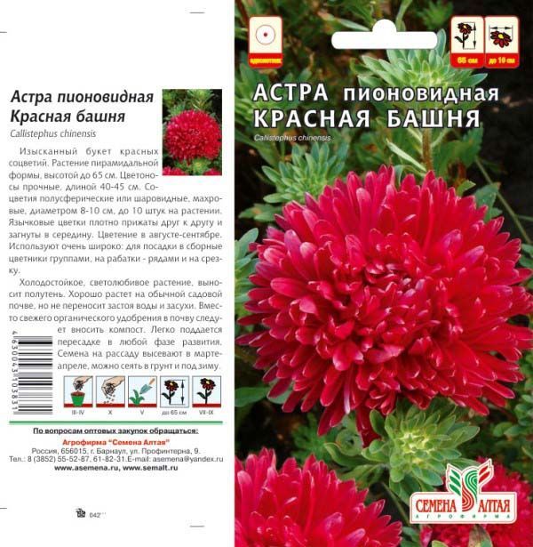 Астра Красная Башня (цветной пакет) 0,2г; Семена Алтая