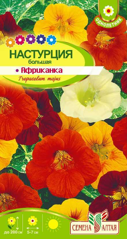 картинка Настурция Африканка большая (цветной пакет) 1г; Семена Алтая от магазина Флоранж