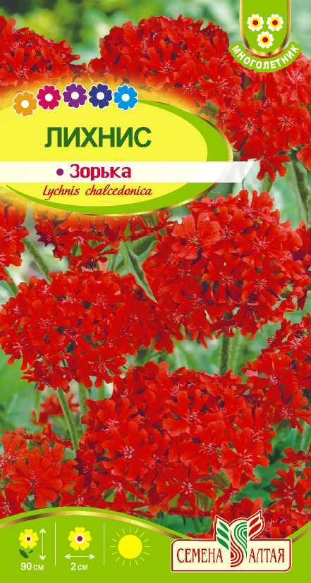 картинка Лихнис халцедонский Зорька (цветной пакет) 0,1г; Семена Алтая от магазина Флоранж