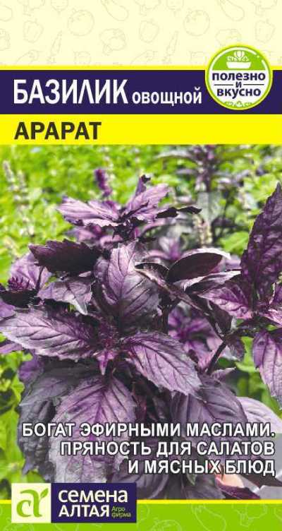 Базилик Фиолетовый Арарат (цветной пакет) 0,3г; Семена Алтая