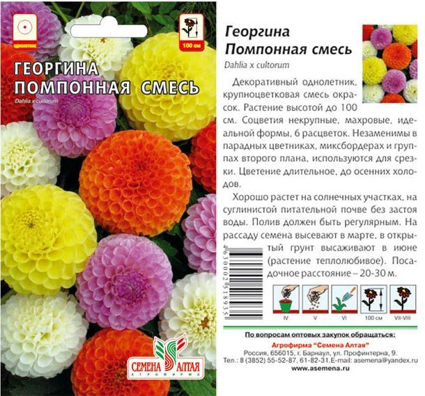 Георгина Помпонная (цветной пакет) 0,2г; Семена Алтая