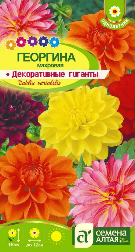 Георгина Декоративные гиганты (цветной пакет) 0,2г; Семена Алтая