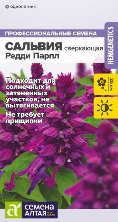 картинка Сальвия Редди Парпл сверкающая (цветной пакет) 5шт; Семена Алтая от магазина Флоранж