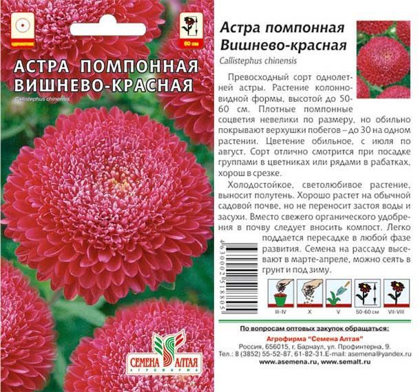 Астра Помпонная Вишнево-Красная (цветной пакет) 0,2г; Семена Алтая