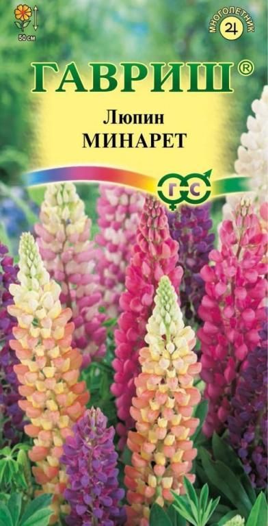 Люпин многолетний Минарет (цветной пакет) 0,5г; Гавриш