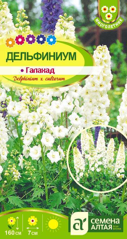 картинка Дельфиниум Галахад (цветной пакет) 0,1г; Семена Алтая от магазина Флоранж