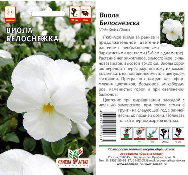 Виола Белоснежка (цветной пакет) 0,1г; Семена Алтая