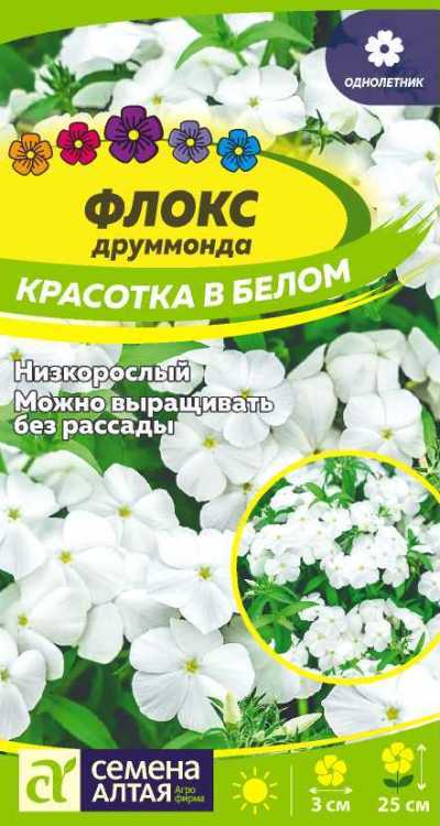 картинка Флокс Красотка в в белом Друммонда (цветной пакет) 0,1г; Семена Алтая от магазина Флоранж