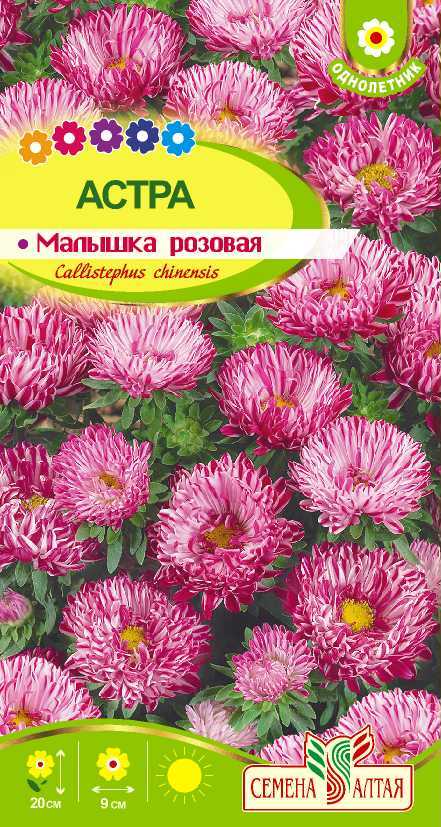 картинка Астра Малышка Розовая (цветной пакет) 0,2г; Семена Алтая от магазина Флоранж